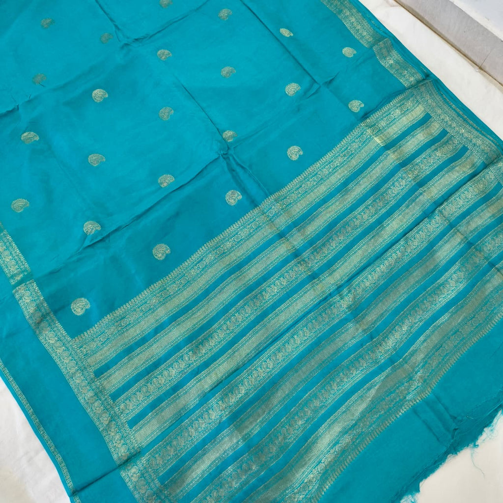 Light Blue Viscose Saree with Navy Blue Contrast blouse
