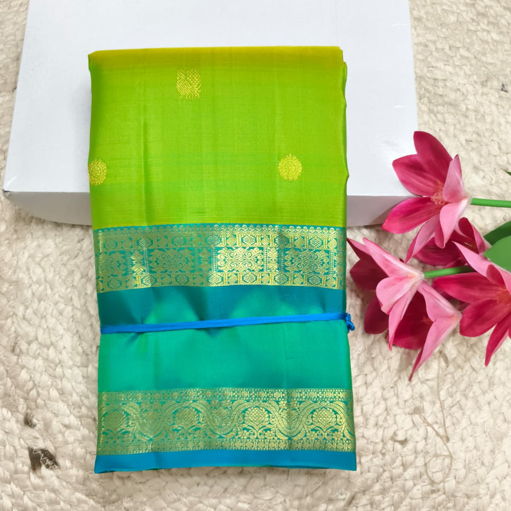 Pure Kanchipuram Handloom Silk Saree- Light Green and Light Blue